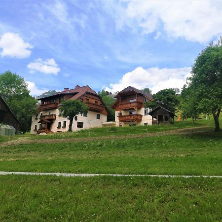Ferienhof Gindl Und Gaestehaus Gindl Tauplitz Extérieur photo